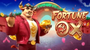 11AA Boi da Fortuna